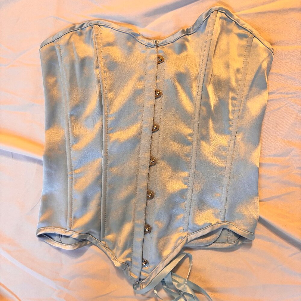 That's So Fetch Corset Top
